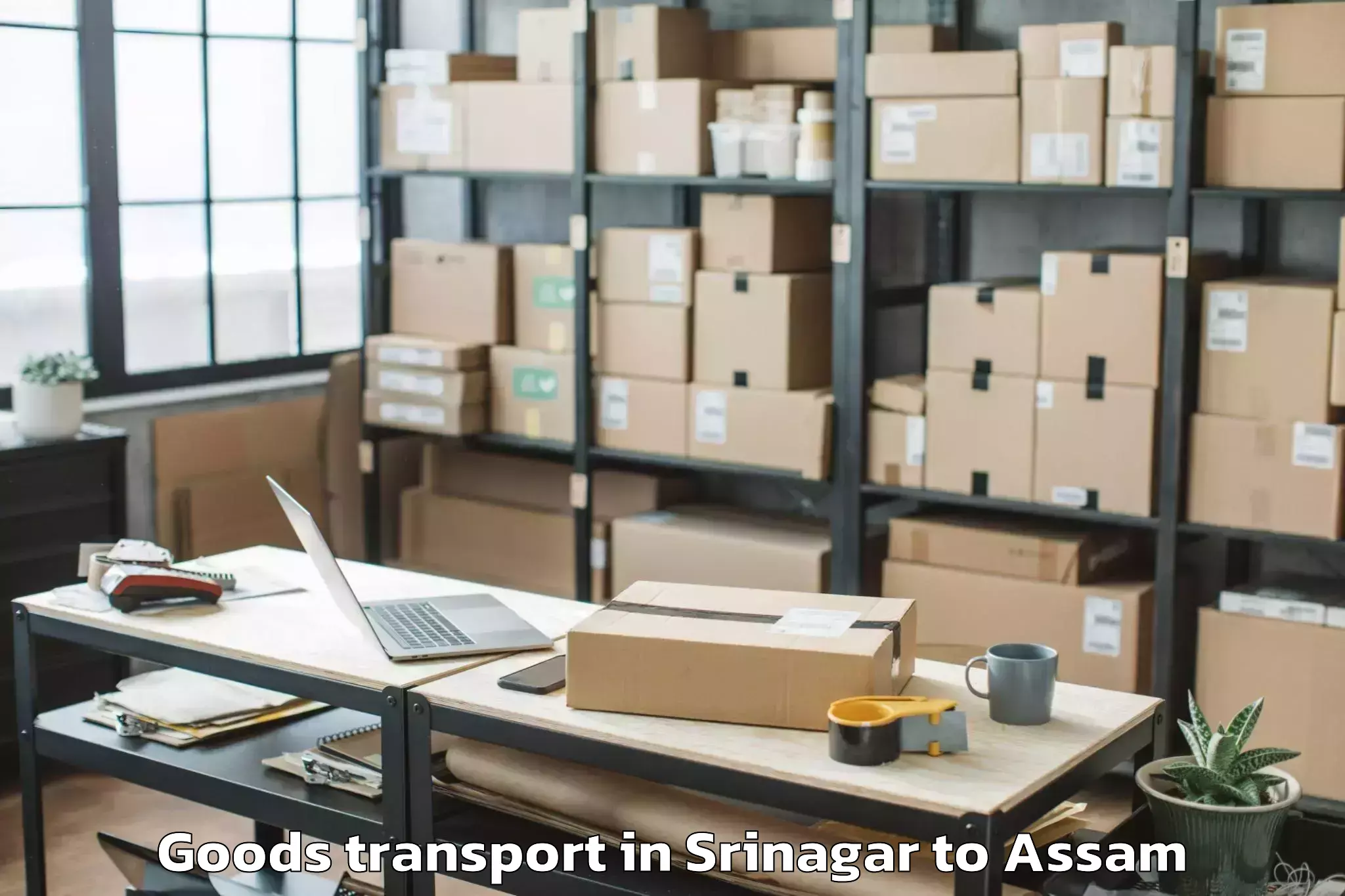 Book Srinagar to Tezpur Goods Transport Online